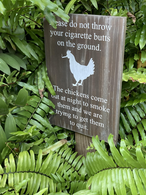 Wonder what the story behind this is