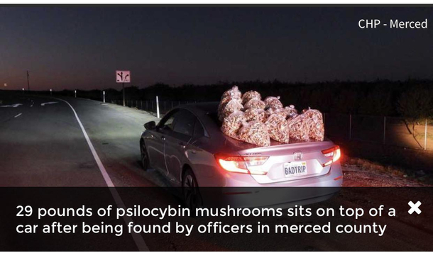Wonder what tipped them off