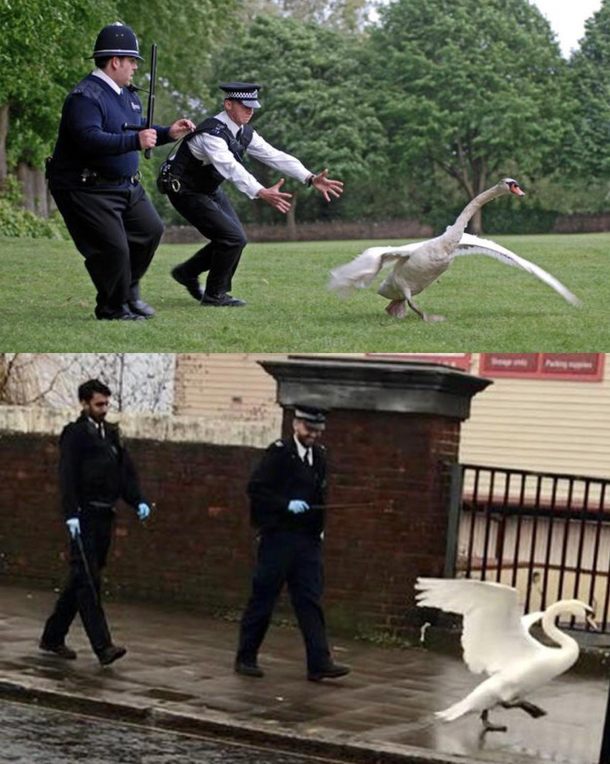 Wondered if the sequel to Hot Fuzz was being filmed in my town