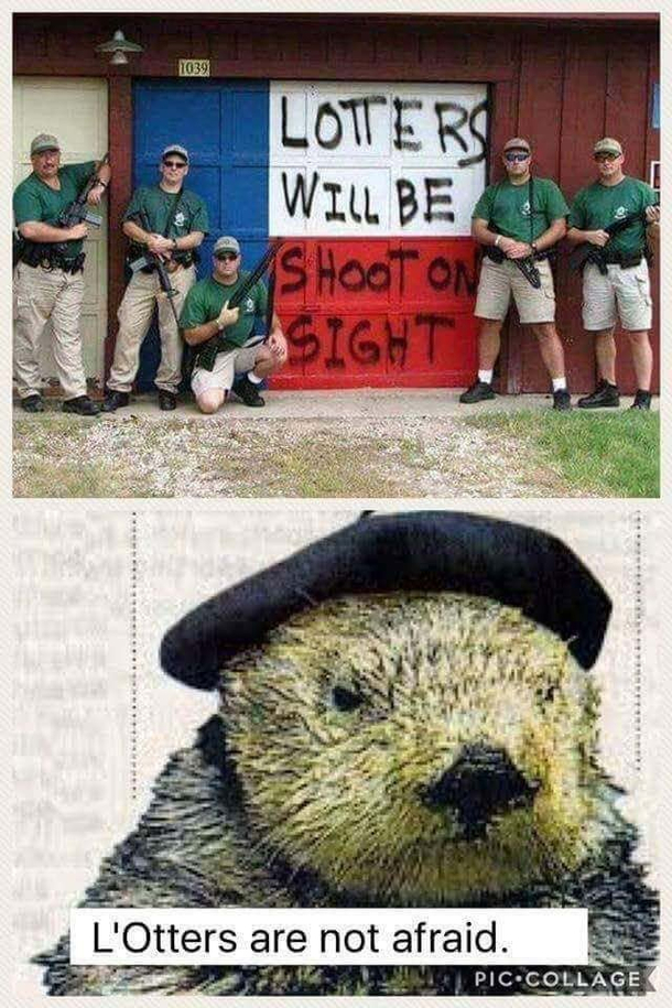 Wont back down