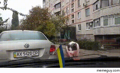 Woo what you doing