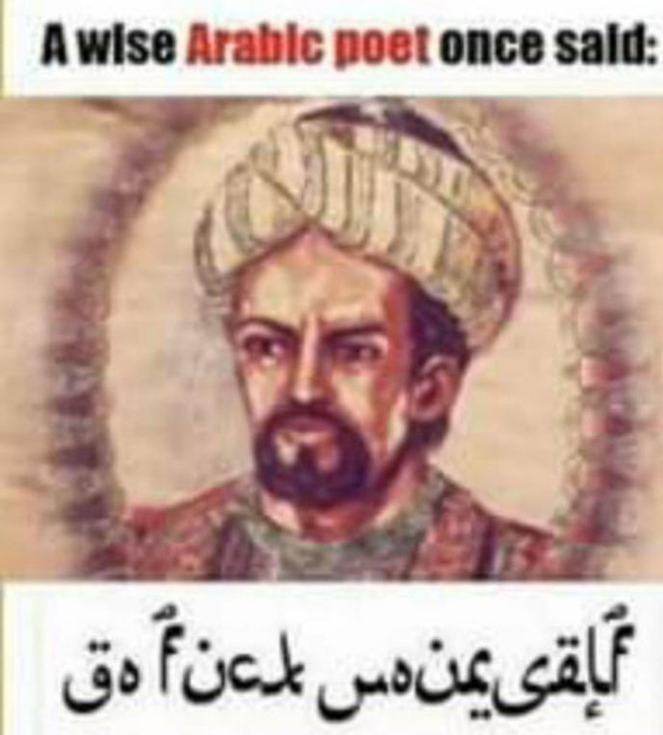 funny words of wisdom for student funny words of wisdom for student