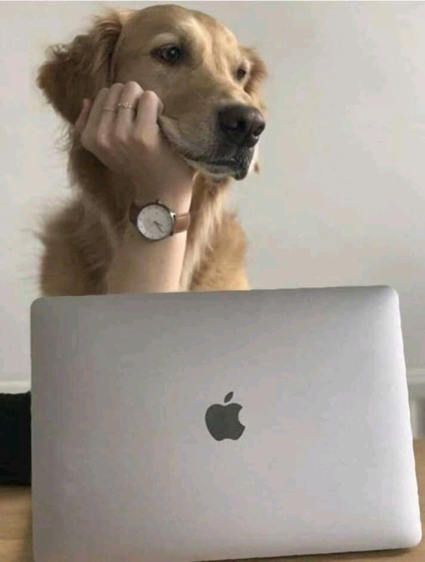 Work can be so ruff