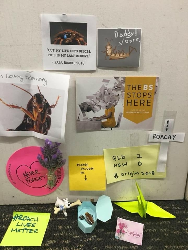 Work found a dead cockroach So they made a shrine RIP cockroach