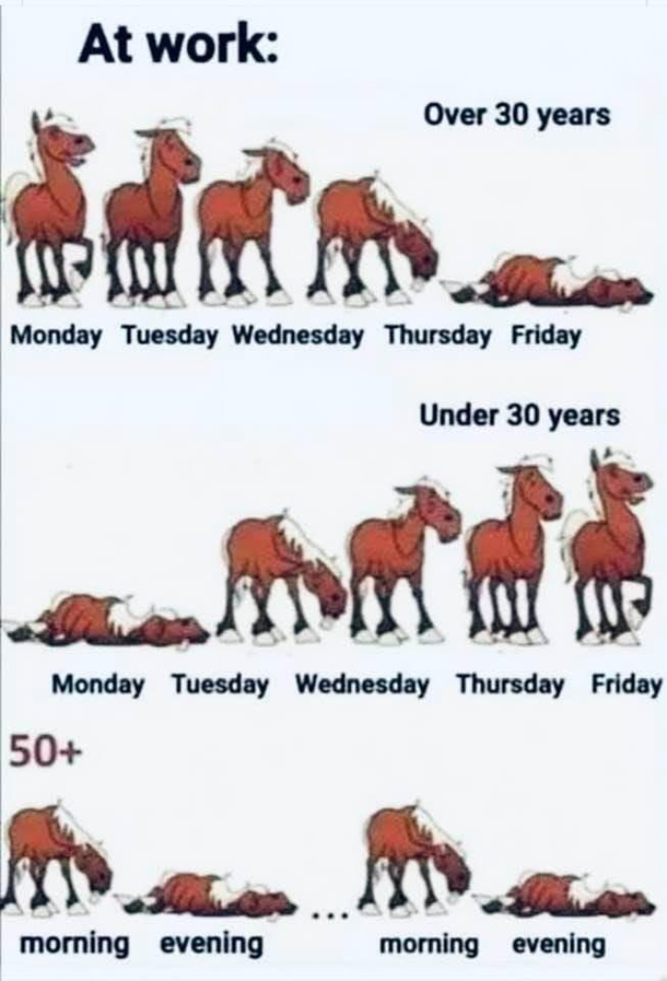 Work Life