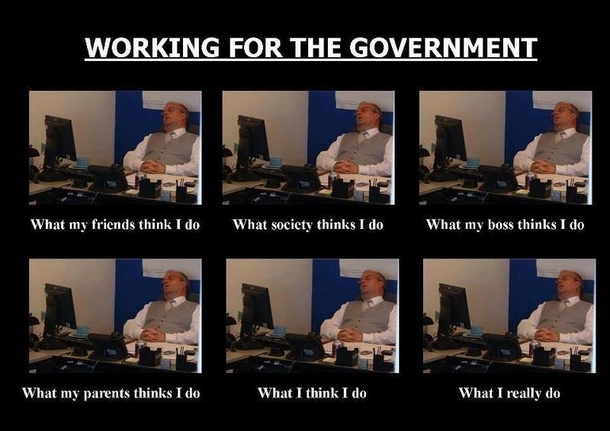 Working for the Government