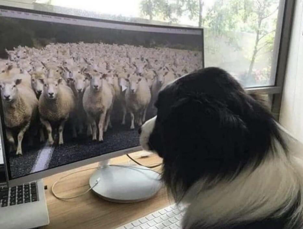 Working from home