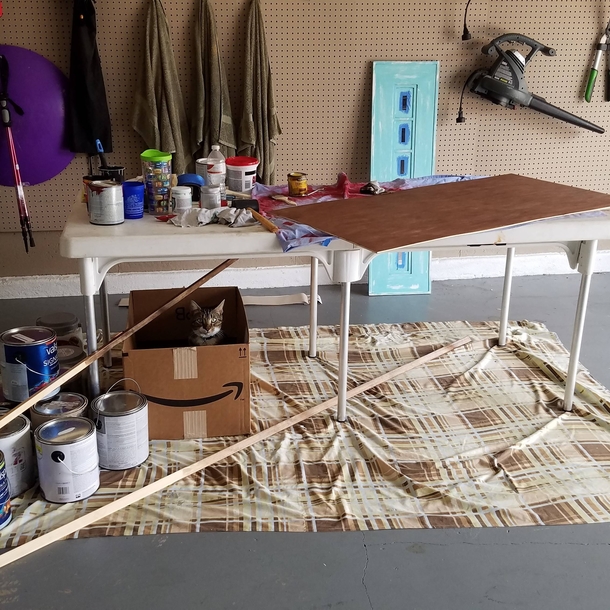 Working on projects in the garage I dont own a cat