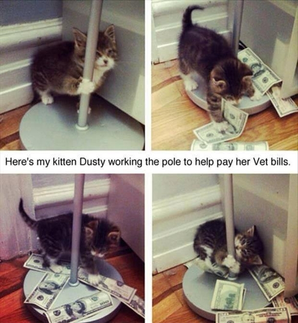 Working The Pole