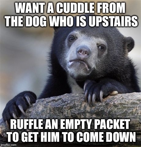 Works every time Im a bad owner