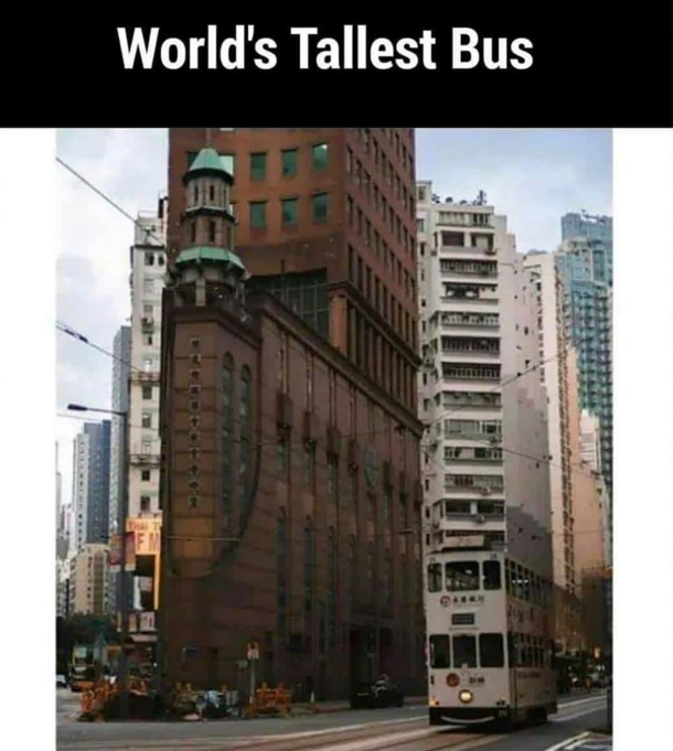 Worlds Tallest Bus
