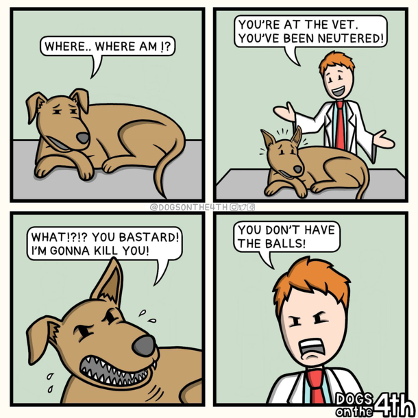 Worse than his bite