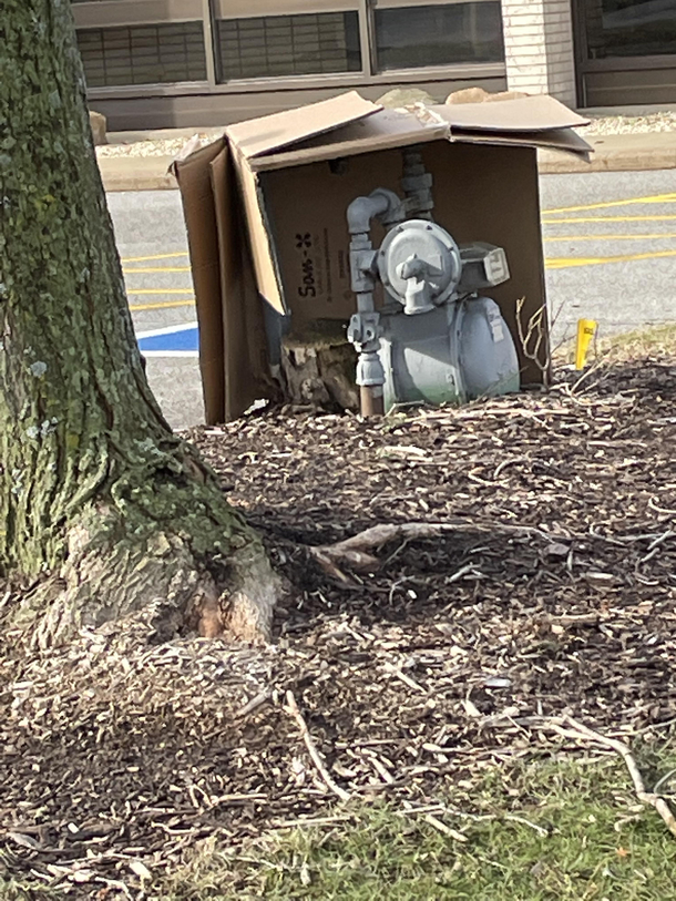Worst Nativity Scene set up yet