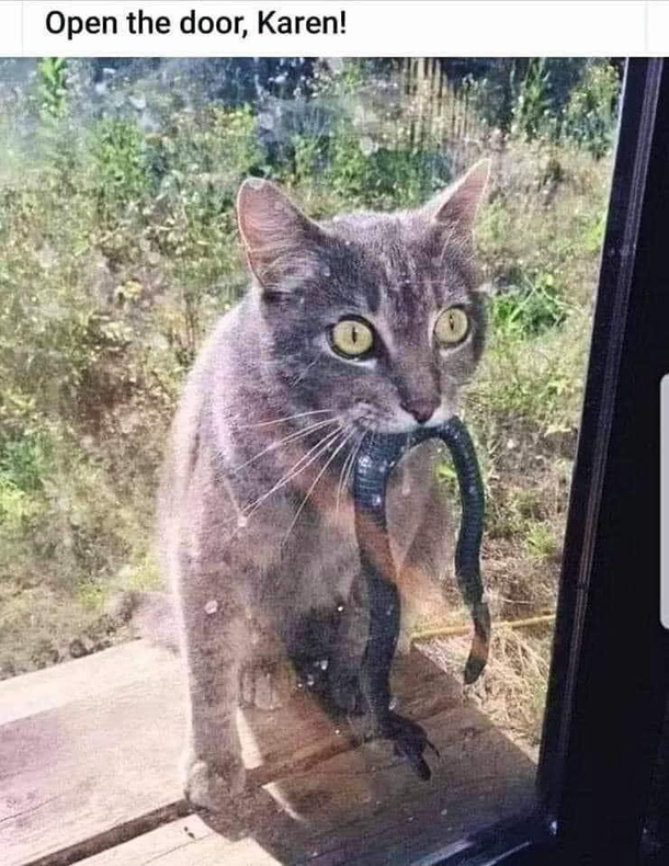 Would you Open