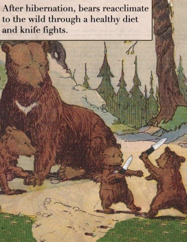 Wow bears are a lot more hardcore than I thought