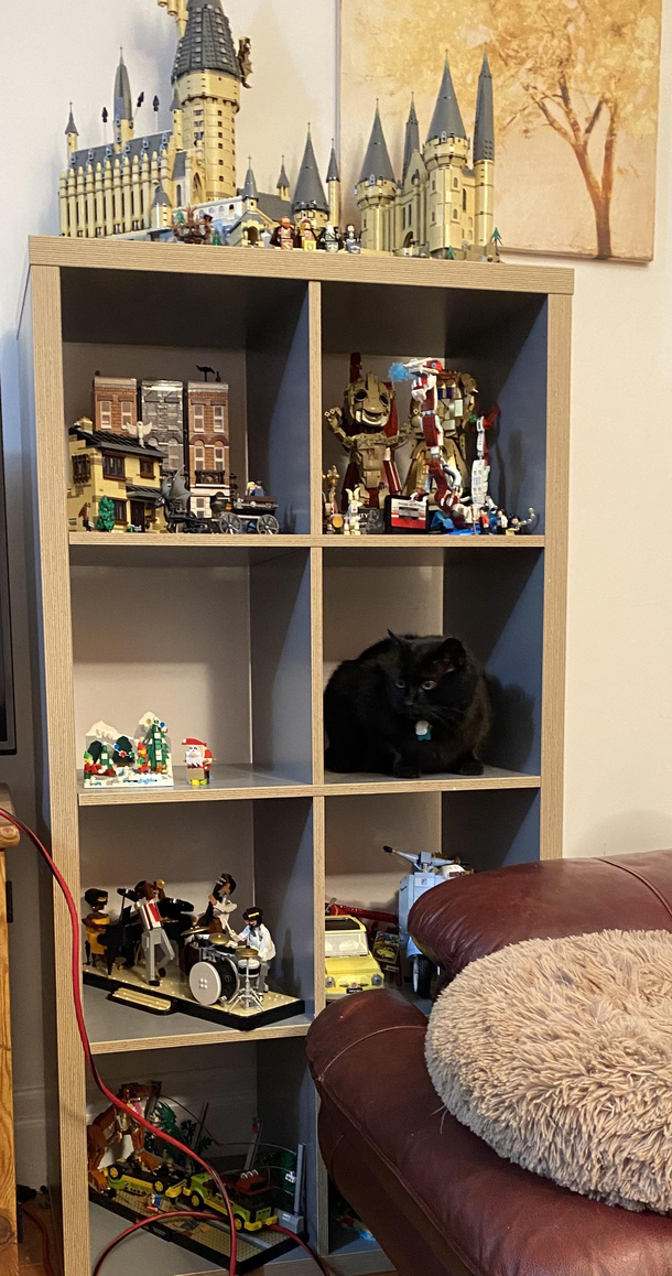 Wow lego sets these days sure are getting realistic