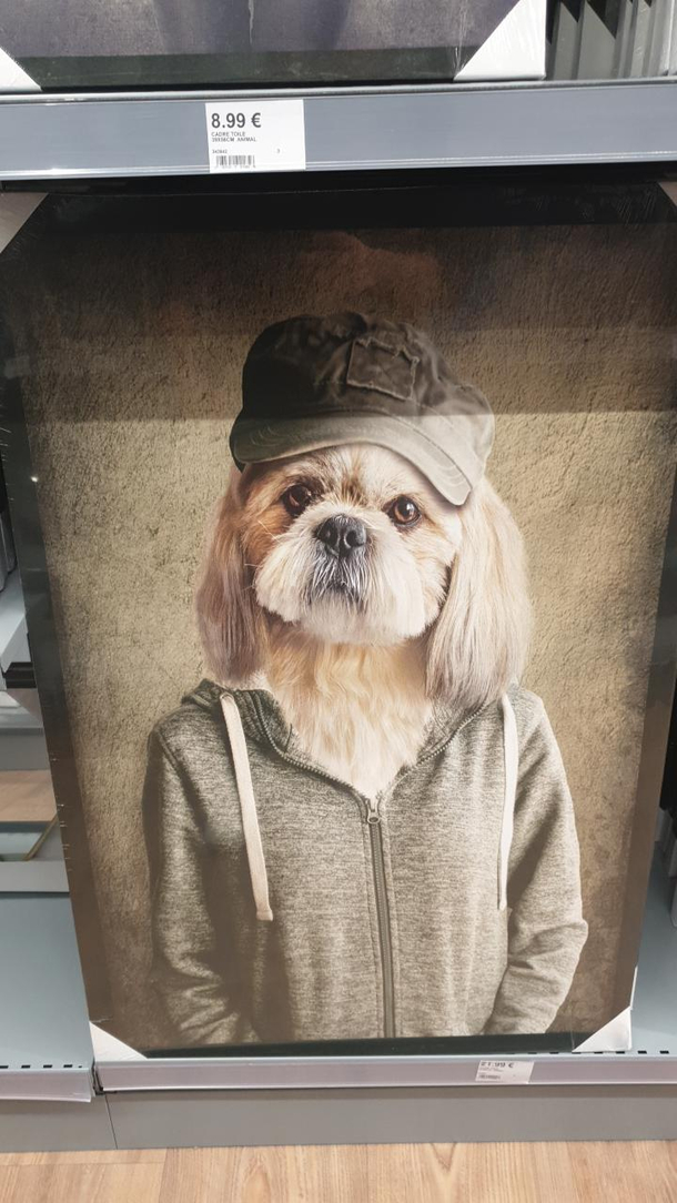 Wow who is buying this kind of pics