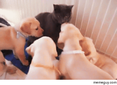 Wrong neighborhood motherfucker