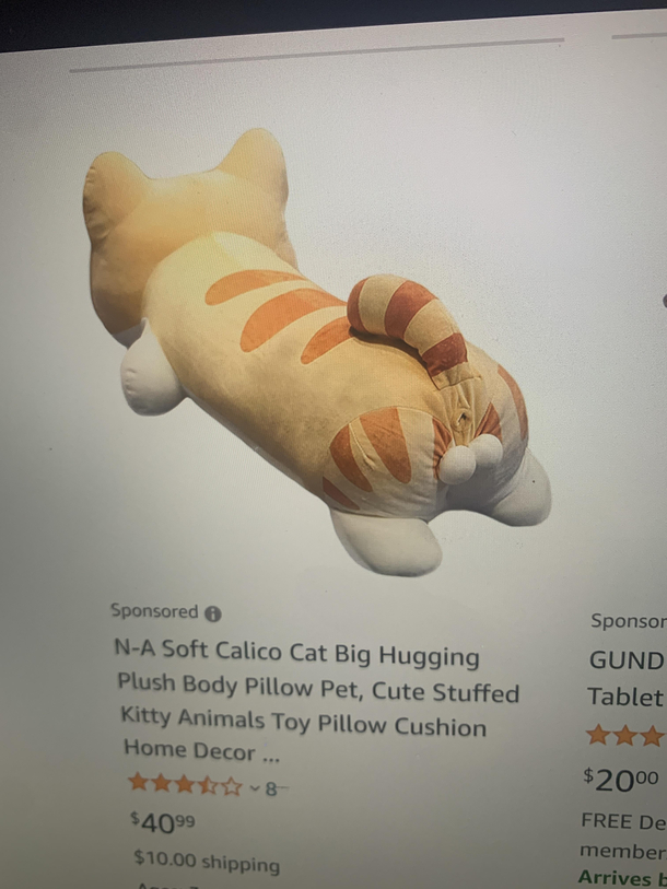 Wtf Amazon home decor