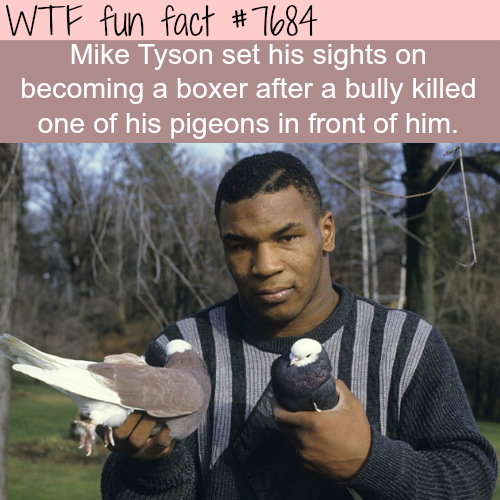 WTF fun facts dump