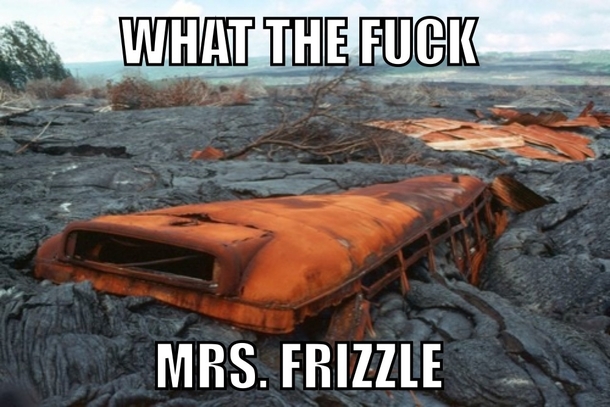 Wtf Mrs Frizzle