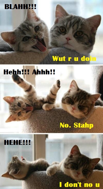 Wut r u doin no stahp