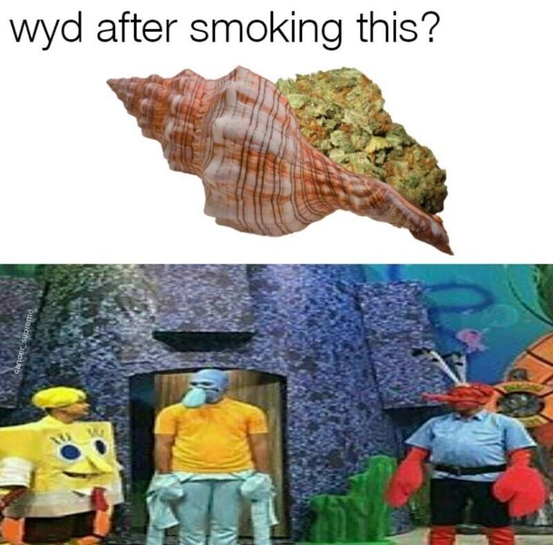 wyd after smoking this