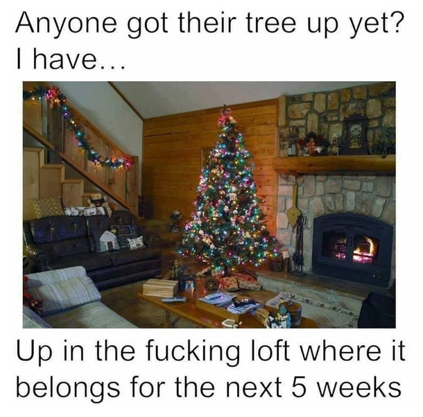 Xmas tree up yet