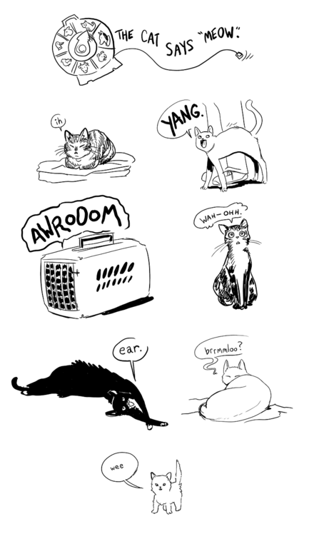 Ya know what else cats say