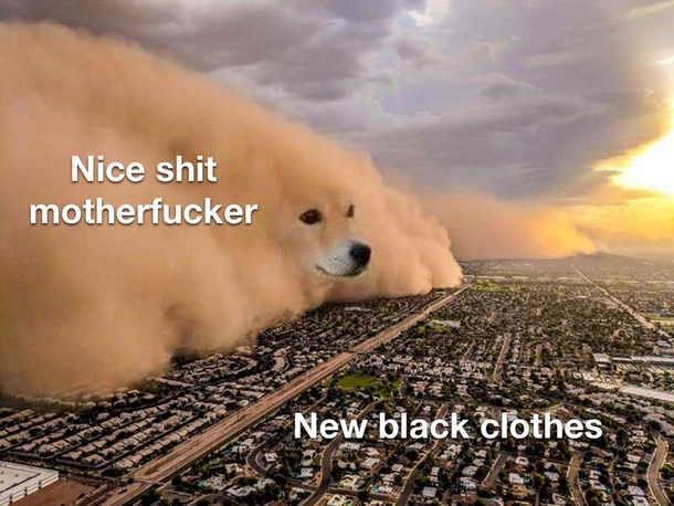 Yay Pets