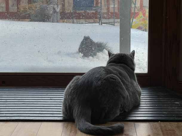 Ye though I walk through the porch of death I will fear no evil For the screen and glass door will protect me