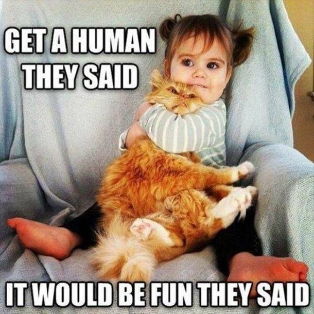 Yea get a Human