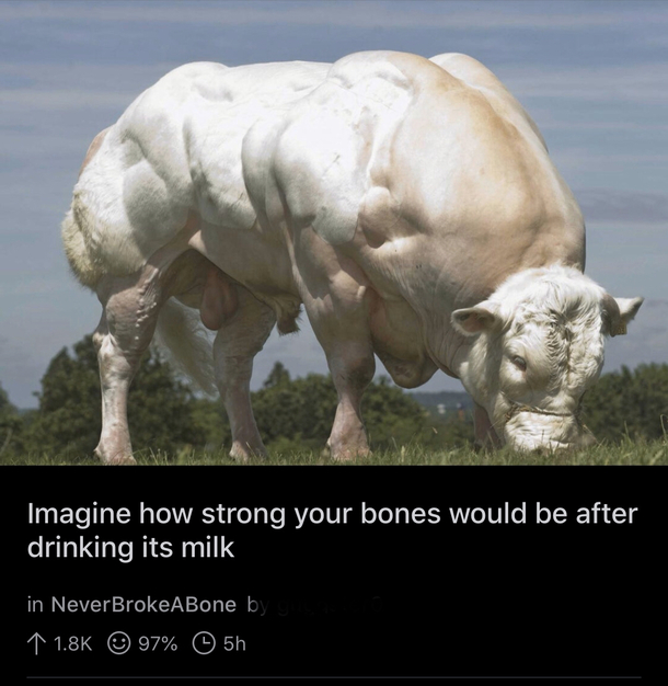 Yea imagine