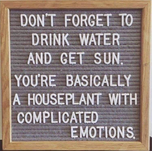 Yea you houseplant