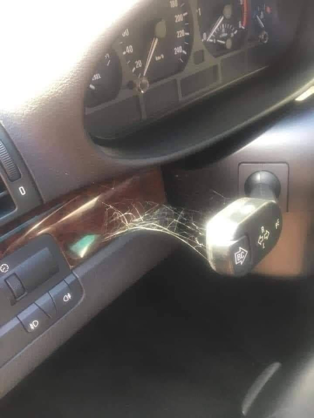 Yeah i drive a BMW howd you know