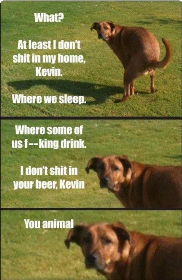 Yeah Kevin WTF