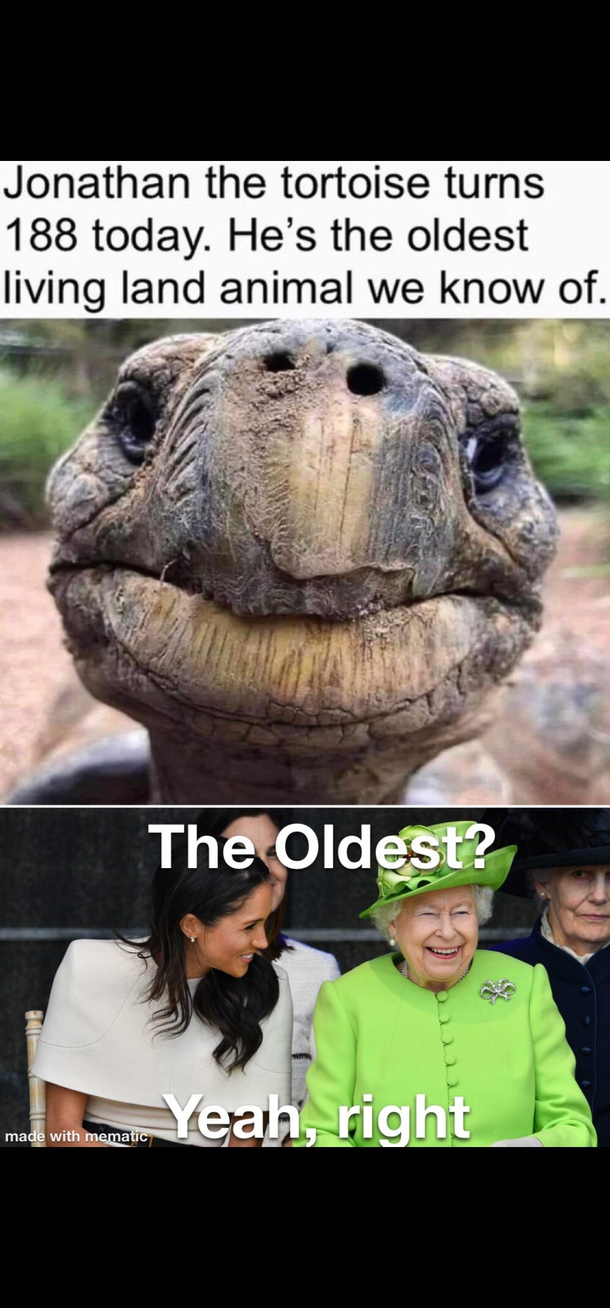Yeah right
