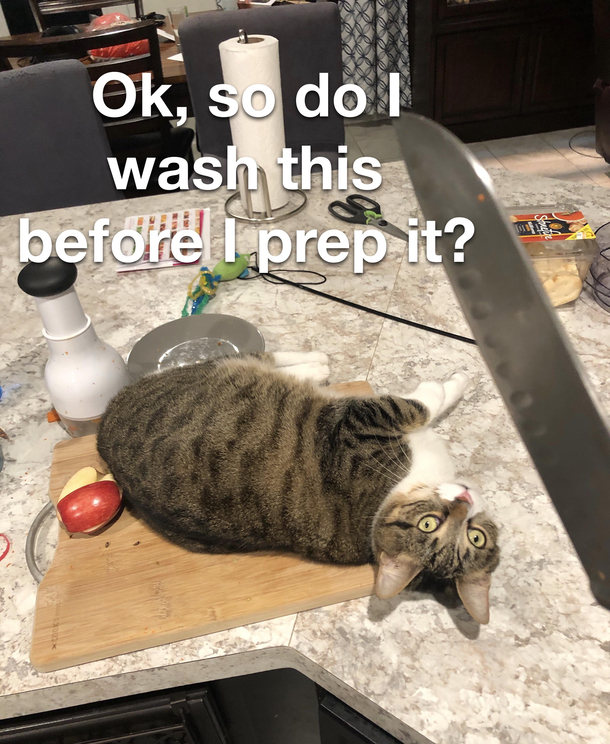 Yeah she wont get off the cutting board