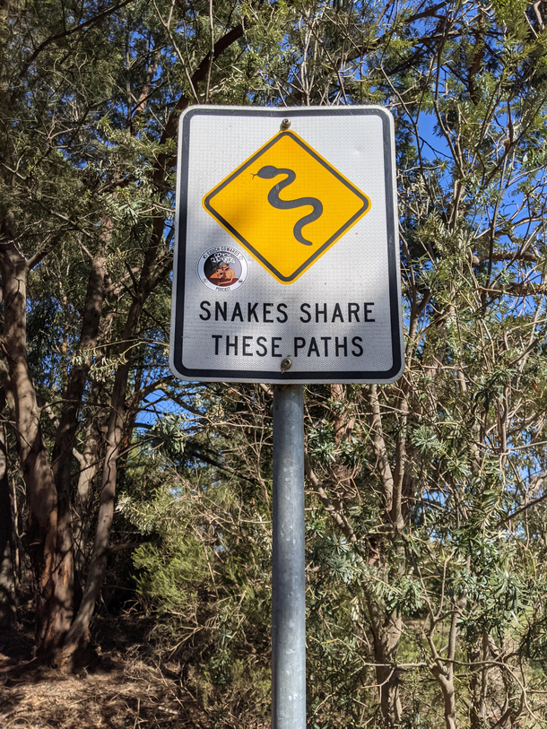 Yeah snakes share these paths