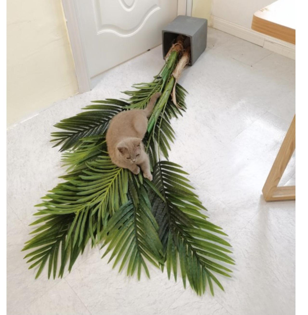 Yeah thats better - cat probably