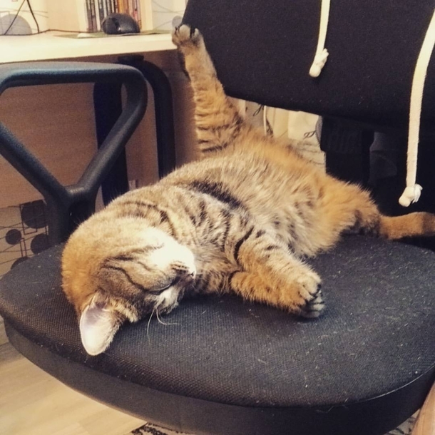 Yeah thats fine