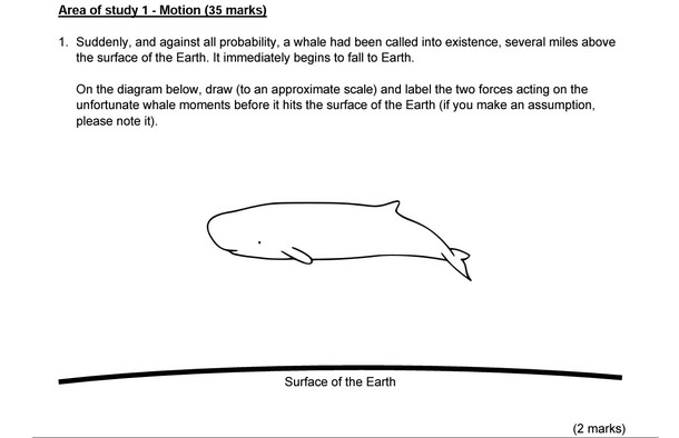 Year  Physics question - a whale had been called into existence