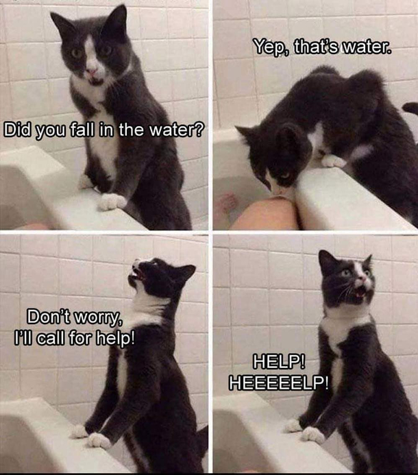 Yep its water