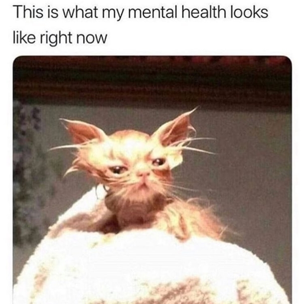 Yes 