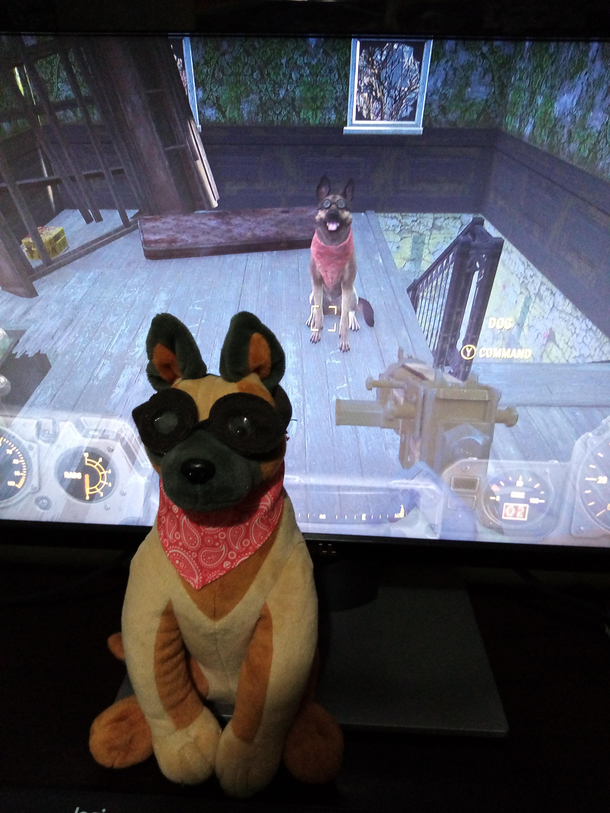 Yes my dog meat has come to fruition