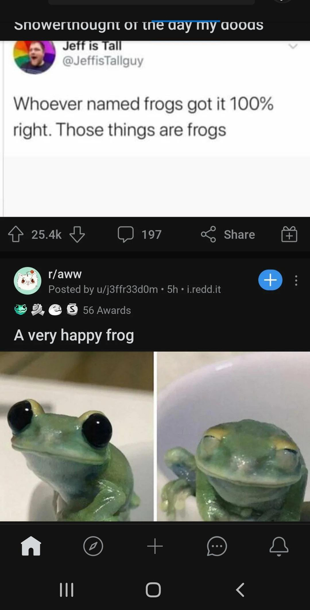Yes Yes they do