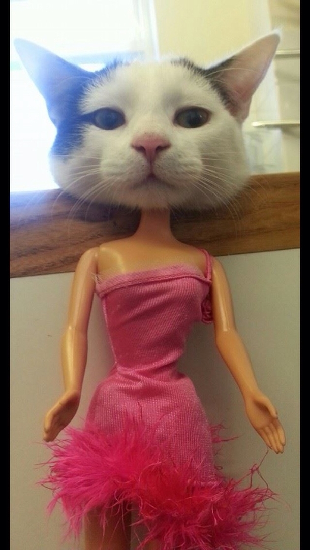 Yet another unrealistic standard of beauty for women