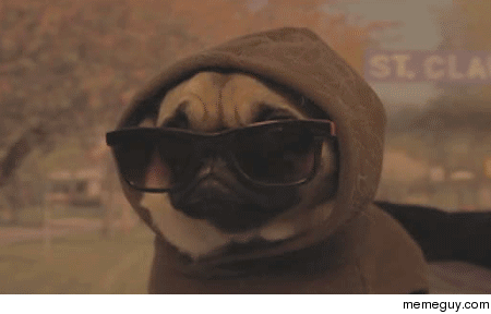 Yo Dawg