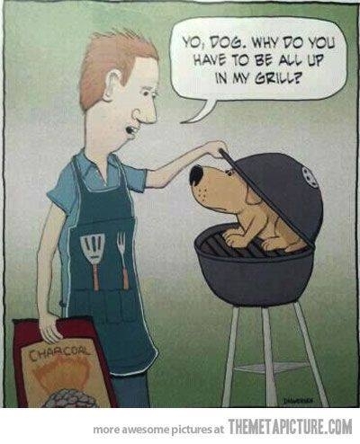 Yo dog