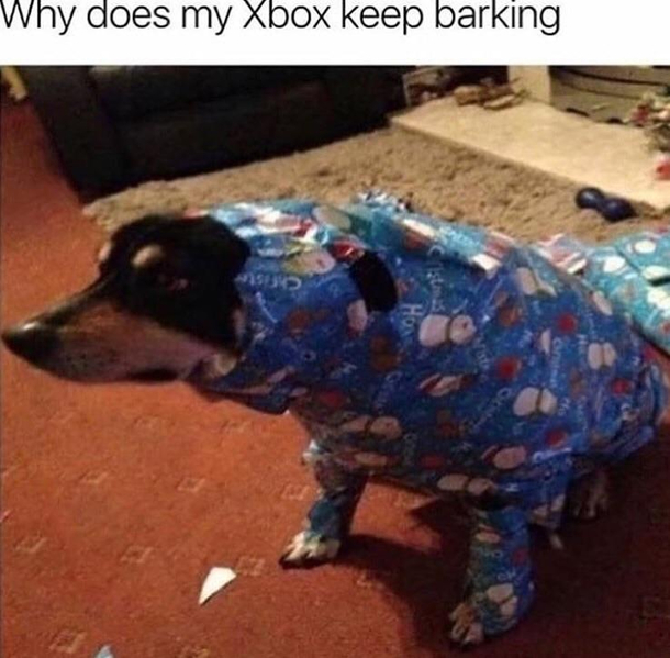yo guys i think i got the wrong console